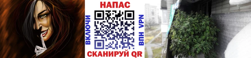 Магазины продажи наркотиков Петровск Alpha PVP  МАРИХУАНА  mega как зайти  ГАШИШ  Cocaine  Меф 