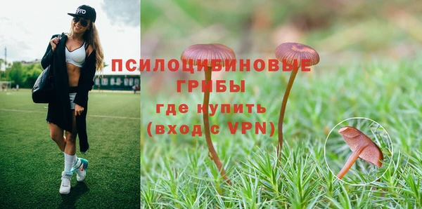 MESCALINE Володарск
