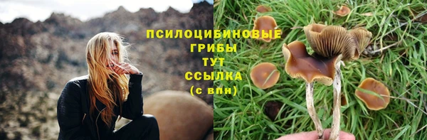 MESCALINE Володарск